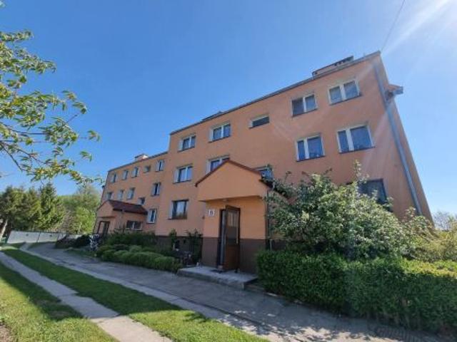 Bezpośrednio, Baszewice, 68 m² Mieszkanie