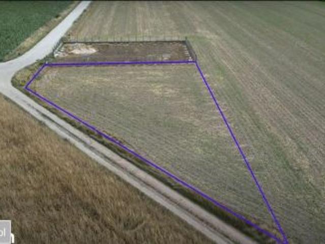 Bezpośrednio, Betkowo, 1301 m² Działka
