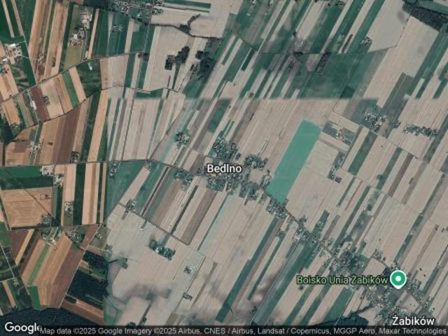 Bezpośrednio, Bedlno, 50000 m² Działka