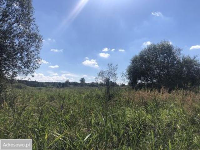 Bezpośrednio, Biłgoraj, ul. Lazurowa, 965 m² Działka