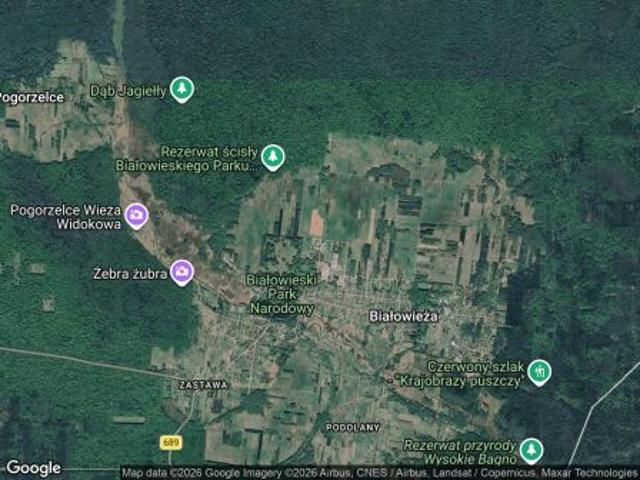 Bezpośrednio, Białowieża, ul. Żubrowa, 3000 m² Działka