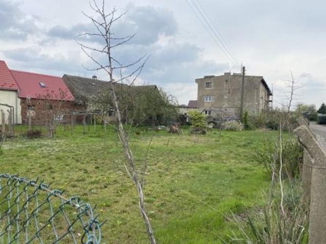Bezpośrednio, Białołęka, 838 m² Działka