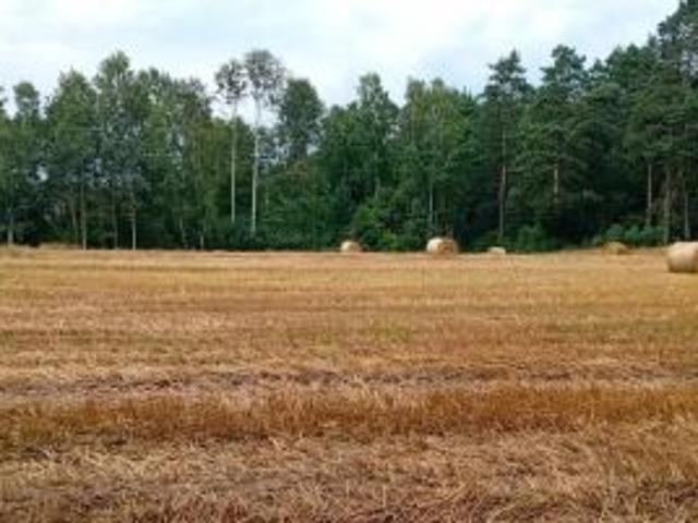 Bezpośrednio, Biała, 1000 m² Działka