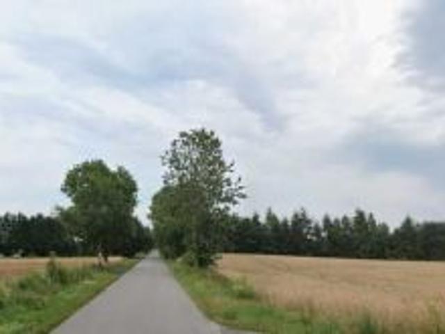 Bezpośrednio, Białka, 2691 m² Działka