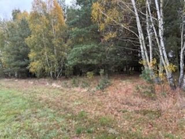 Bezpośrednio, Białki, 14600 m² Działka
