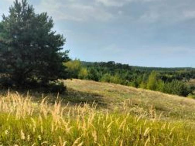 Bezpośrednio, Białków Górny, 27900 m² Działka