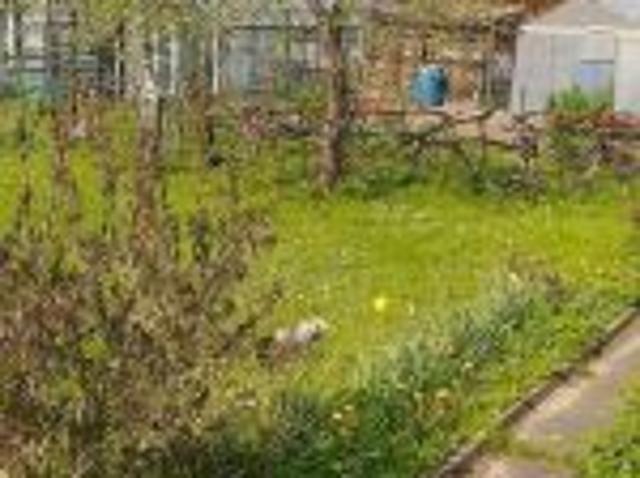 Bezpośrednio, Białystok, Dojlidy, ul. płk. Czesława Hake, 351 m² Działka