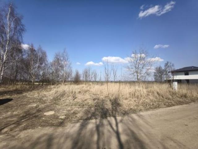 Bezpośrednio, Bielice, 1046 m² Działka