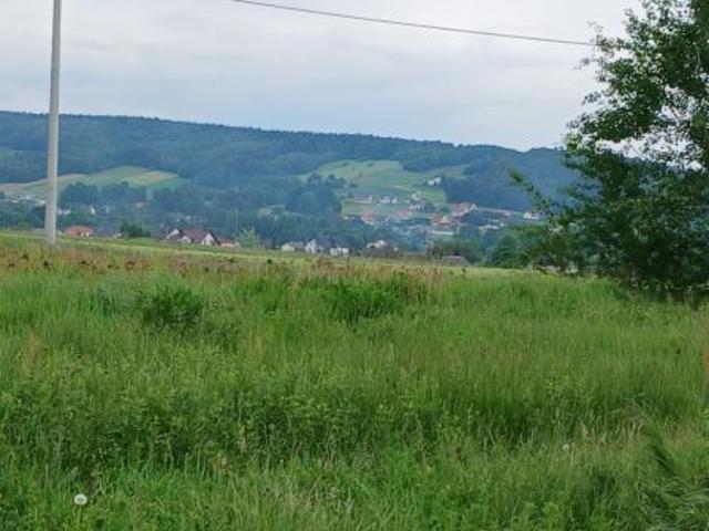 Bezpośrednio, Bieliny, 1149 m² Działka