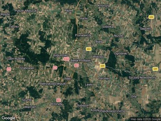 Bezpośrednio, Bielsk Podlaski, Studziwody, 4063 m² Działka
