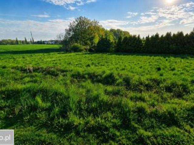 Bezpośrednio, Bielsko Biała, Komorowice Śląskie, ul. Ziołowa, 869 m² Działka
