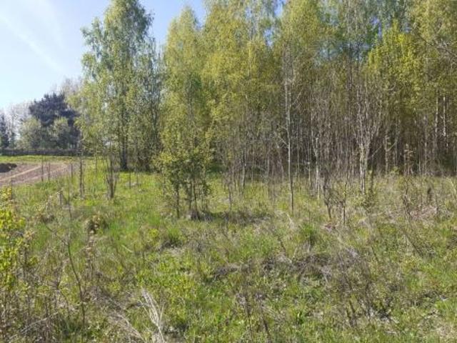 Bezpośrednio, Biesowo, 1200 m² Działka