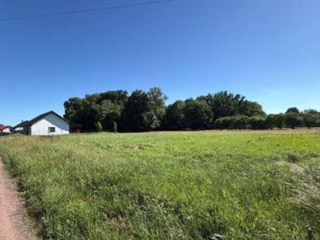 Bezpośrednio, Bierzwnik, ul. Mickiewicza, 1494 m² Działka
