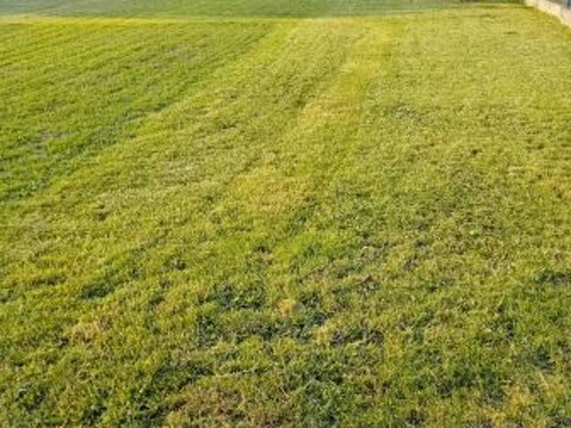 Bezpośrednio, Biskupie Kolonia, 800 m² Działka