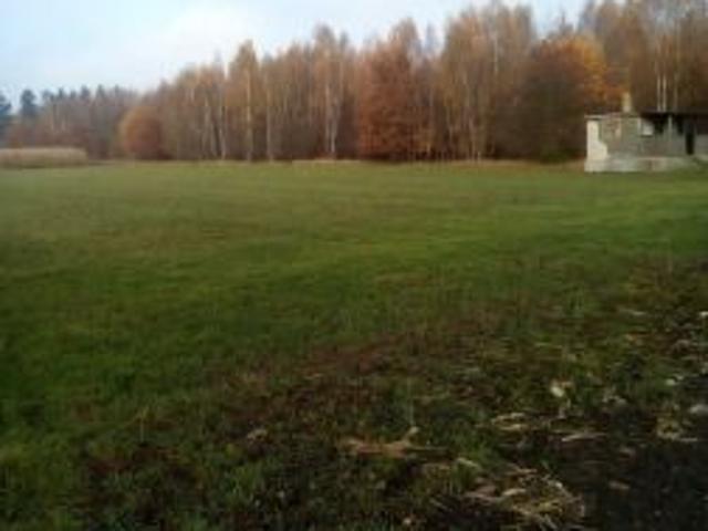 Bezpośrednio, Blękwit, 5153 m² Działka