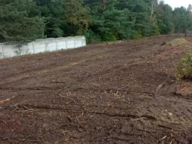 Bezpośrednio, Blok Dobryszyce, ul. Zielona, 4304 m² Działka