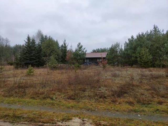 Bezpośrednio, Brzeźce, ul. Ptasia, 1000 m² Działka