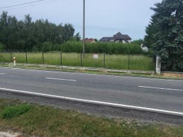 Bezpośrednio, Brześć Kujawski, Falborek, ul. Radziejowska, 1767 m² Działka