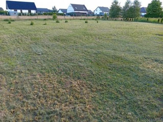 Bezpośrednio, Brzeźno, ul. Akacjowa, 838 m² Działka