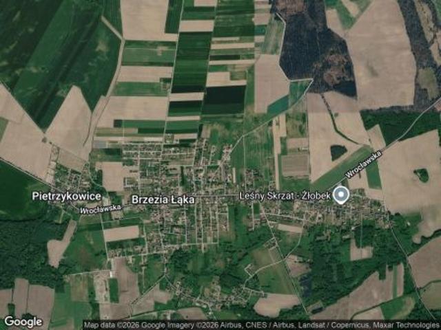 Bezpośrednio, Brzezia Łąka, ul. Kasztanowa, 1100 m² Działka