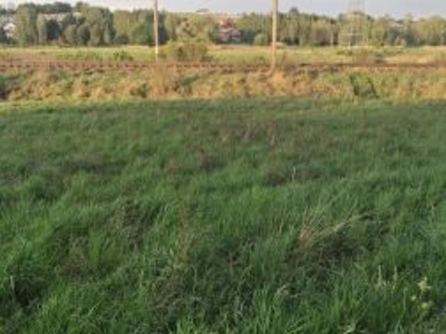 Bezpośrednio, Brzeziny, 1600 m² Działka
