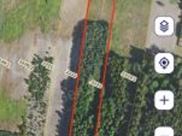 Bezpośrednio, Brzóza Królewska, 5500 m² Działka