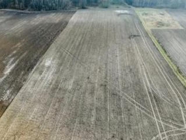 Bezpośrednio, Brzozówka, 3500 m² Działka