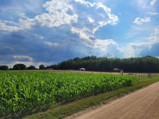 Bezpośrednio, Brzozówka Ziemiańska, 3145 m² Działka