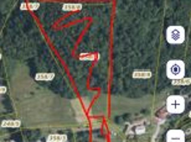 Bezpośrednio, Brzyna, 13000 m² Działka