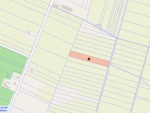 Bezpośrednio, Branica Radzyńska, 6800 m² Działka