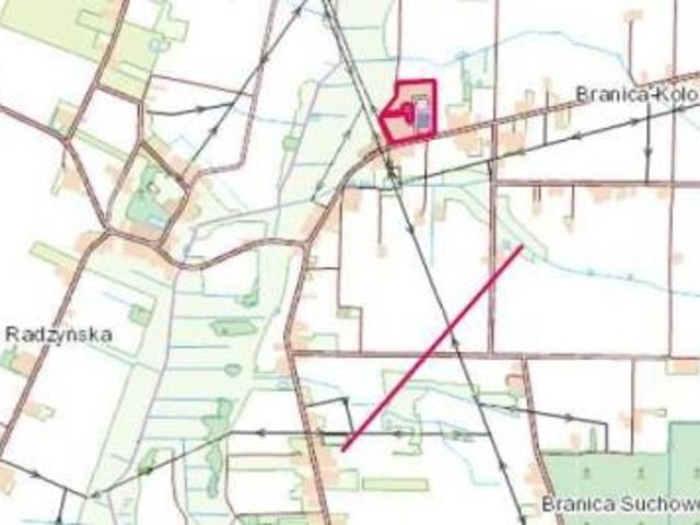 Bezpośrednio, Branica Suchowolska, 40000 m² Działka