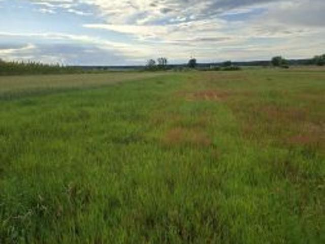 Bezpośrednio, Breń, 2850 m² Działka
