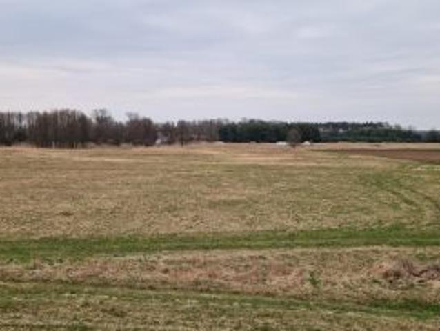 Bezpośrednio, Brody, 5300 m² Działka