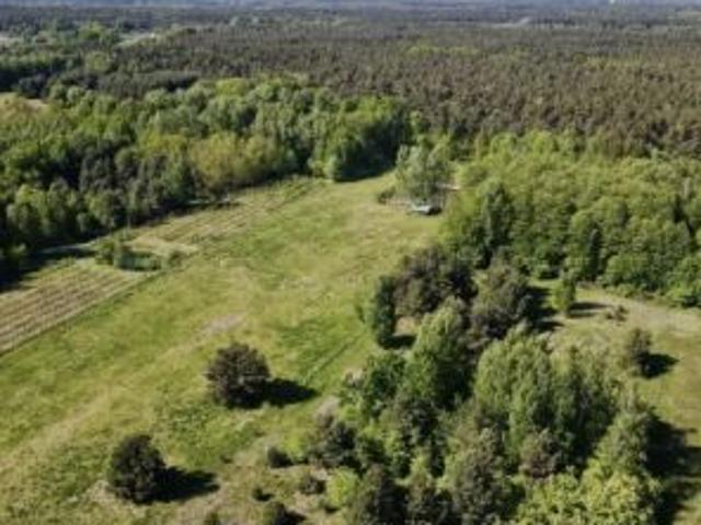 Bezpośrednio, Buczynów, 1997 m² Działka