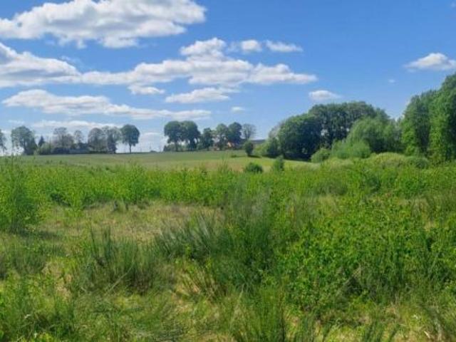 Bezpośrednio, Budno, 3006 m² Działka