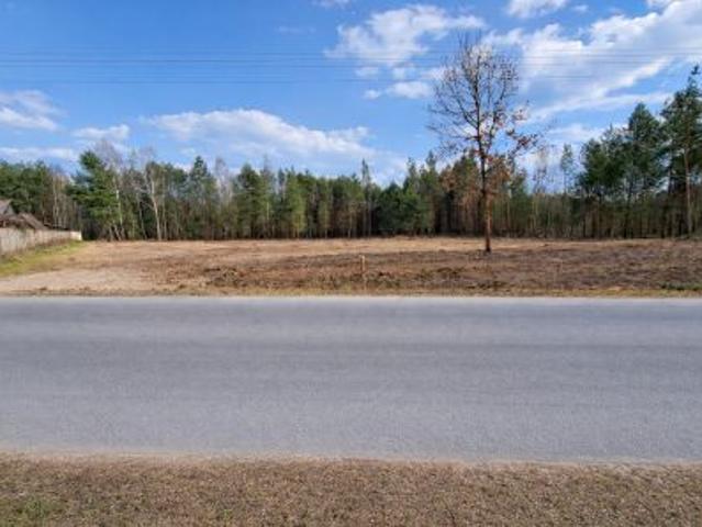 Bezpośrednio, Budy, 4510 m² Działka