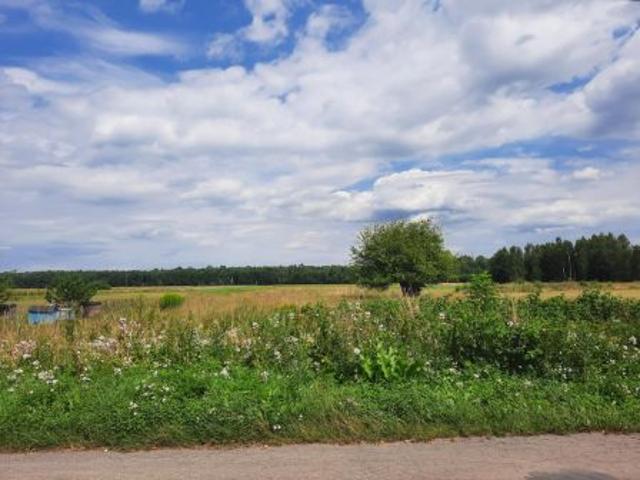 Bezpośrednio, Budy, 3300 m² Działka