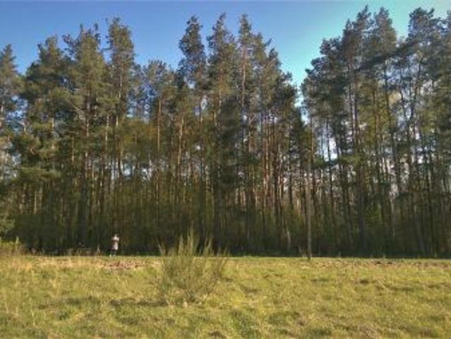 Bezpośrednio, Budzistowo, ul. Stare Miasto, 3056 m² Działka