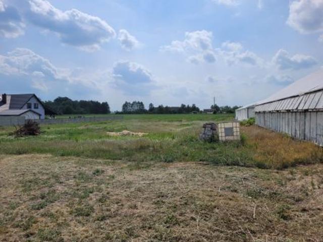 Bezpośrednio, Bukowiec, 1235 m² Działka