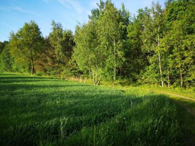 Bezpośrednio, Bukówno, Śliwiny, 14500 m² Działka