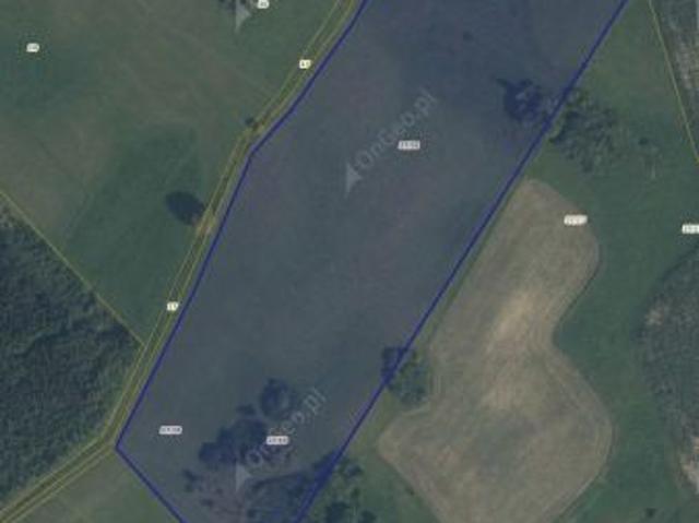 Bezpośrednio, Burdąg, 120000 m² Działka