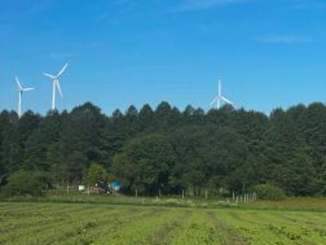 Bezpośrednio, Burkat, 5000 m² Działka