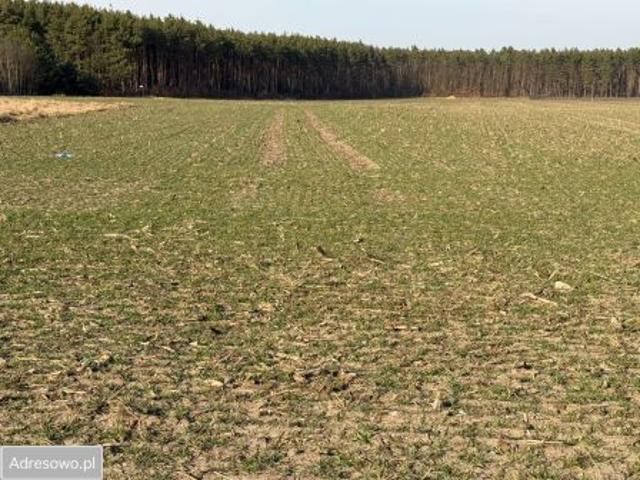 Bezpośrednio, Bystrzyca, ul. Jagodowa, 1119 m² Działka