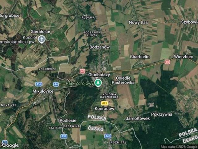 Bezpośrednio, Głuchołazy, 800 m² Działka