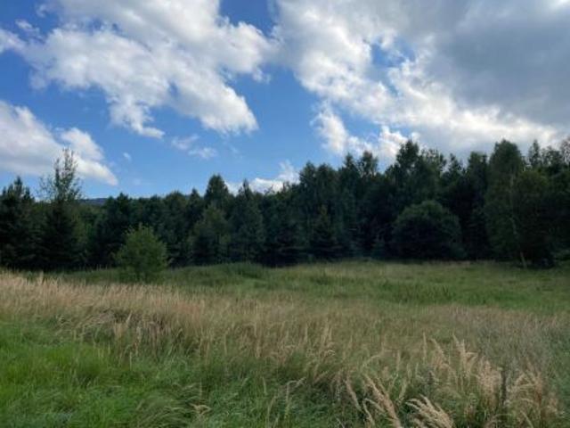 Bezpośrednio, Jarnołtówek, 1200 m² Działka