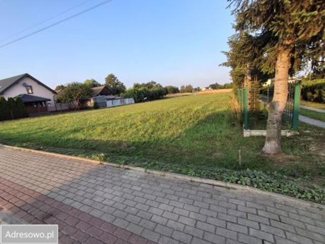 Bezpośrednio, Głuchów, 5000 m² Działka