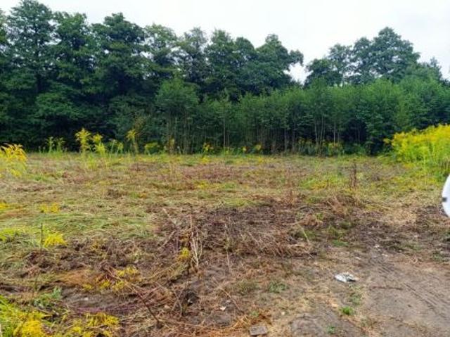 Bezpośrednio, Gębarzów Kolonia, 1460 m² Działka