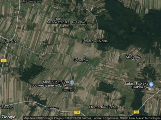 Bezpośrednio, Gębarzów, Hektary, 9800 m² Działka