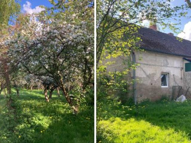 Bezpośrednio, Głębocko, 75 m² Dom