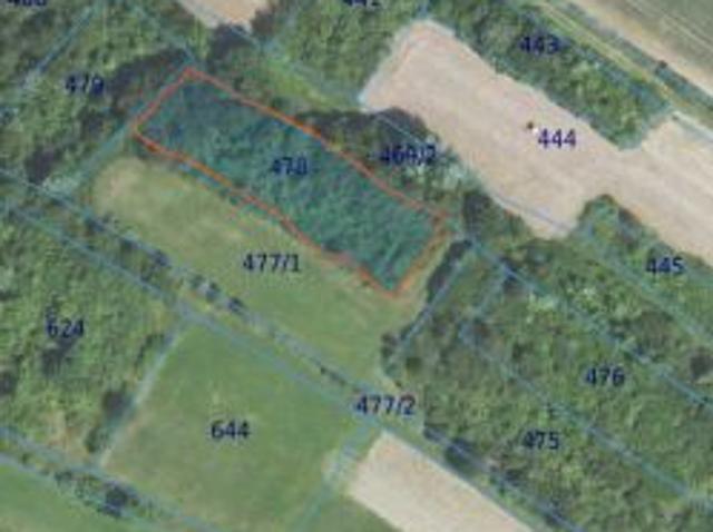 Bezpośrednio, Głębokie, 1500 m² Działka